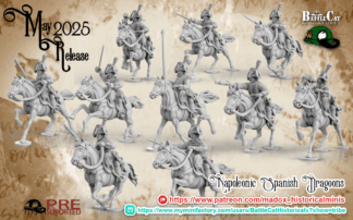 Napoleonic Spanish Dragoon Command