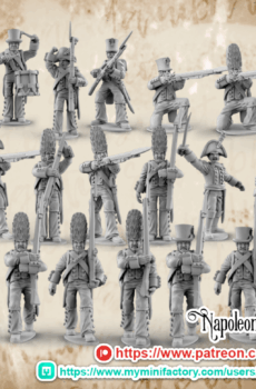 Napoleonic Spanish Infantry