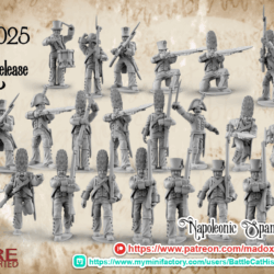 Napoleonic Spanish Grenadier Command