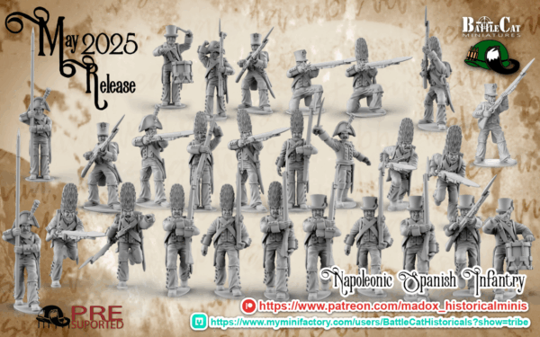 Napoleonic Spanish Grenadier Command