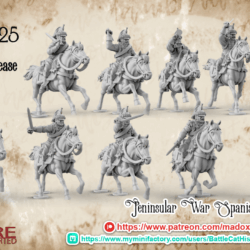 Napoleonic Spanish Cuirassier Command