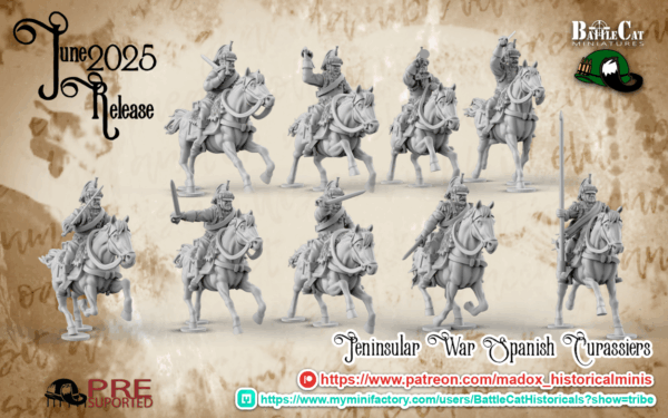 Napoleonic Spanish Cuirassiers