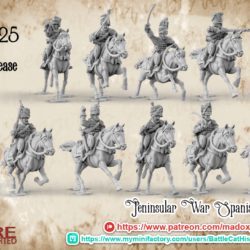 Napoleonic Spanish Hussar Command