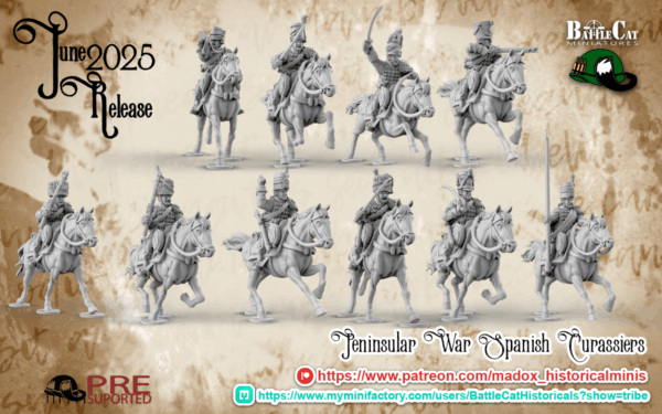 Napoleonic Spanish Hussar Command