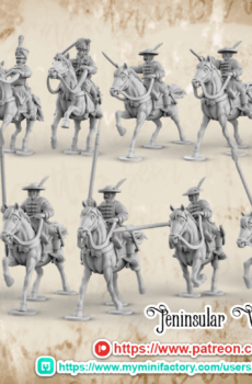Napoleonic Spanish Lancer Command