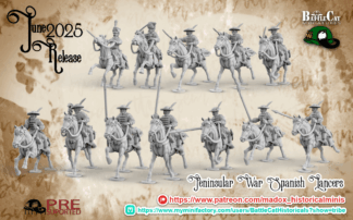 Napoleonic Spanish Lancer Command