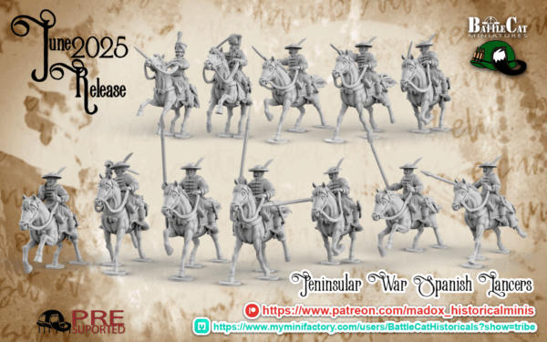 Napoleonic Spanish Lancer Command
